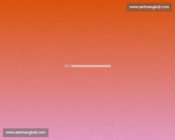 2017赛季鲁能对阵亚泰现场回顾球迷激情与绿茵记忆永恒瞬间定格 2017赛季鲁能对阵亚泰现场回顾球迷激情与绿茵记忆永恒瞬间定格