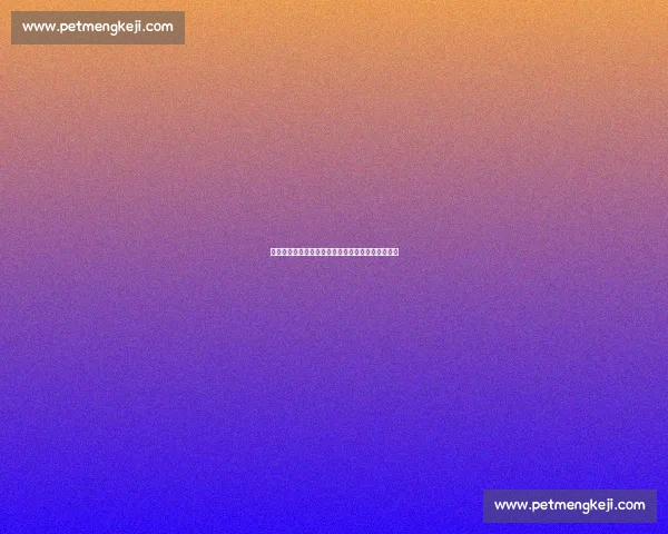 一龙对决嘴炮跨界格斗风云之巅谁才是真正王者传奇