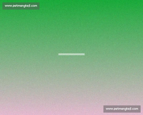 温哥华白帽与休斯顿队的激烈对决分析及赛季前瞻