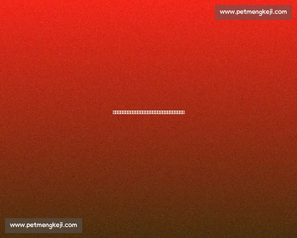 比利时对阵苏格兰焦点之战实力碰撞与战术博弈前瞻全面解析走势