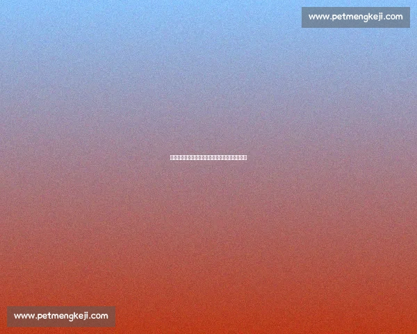 法国德国争锋欧洲足球巅峰对决热血激战即将上演