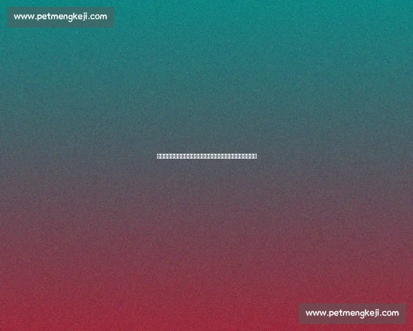 巅峰对决新疆对阵广东总决赛全程录像精彩回顾经典瞬间深度解析