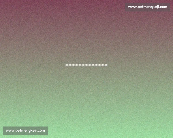 冰岛迎战瑞士欧洲赛场实力碰撞谁能掌控比赛走向焦点之夜前瞻分析