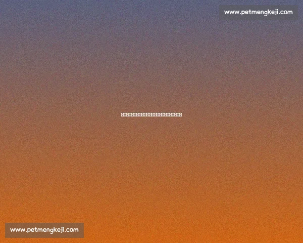 以广州为中心打造湾区高质量发展新引擎的实践与展望