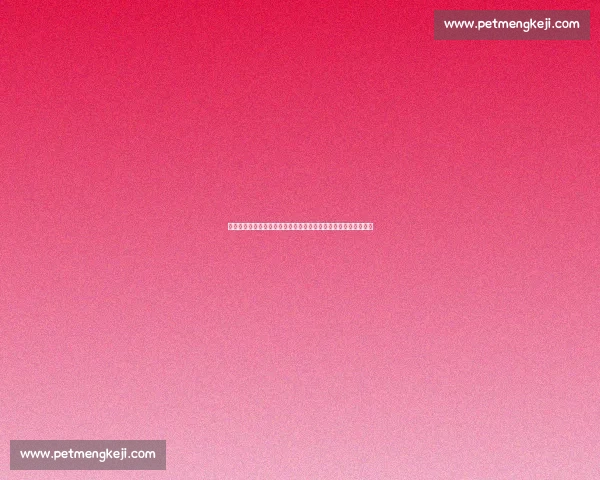 国足对阵新西兰直播焦点解析赛前阵容战术与胜负看点全解读深度