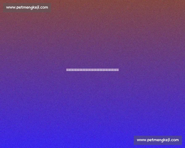 勇士对阵开拓者比赛录像回放全场精彩瞬间深度解析战术与球星表现全面复盘