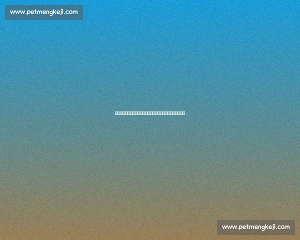 巴西女排与俄罗斯女排强强对话巅峰较量引爆世界排坛焦点之战 巴西女排与俄罗斯女排强强对话巅峰较量引爆世界排坛焦点之战