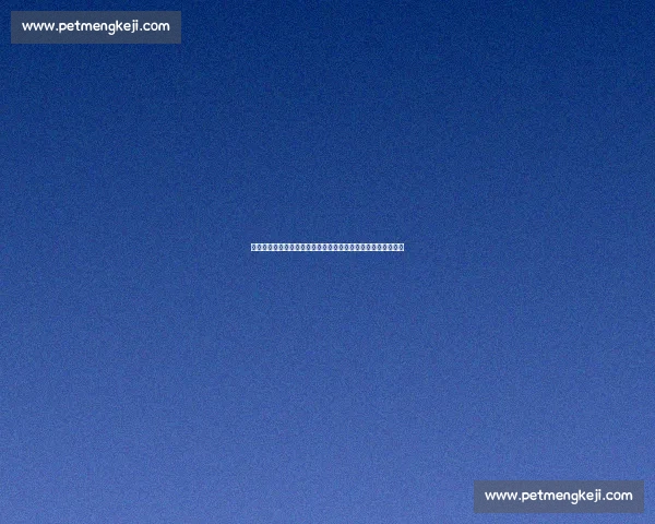 小鹰对决梅威瑟跨界拳台规则之争与时代体育商业想象巅峰碰撞