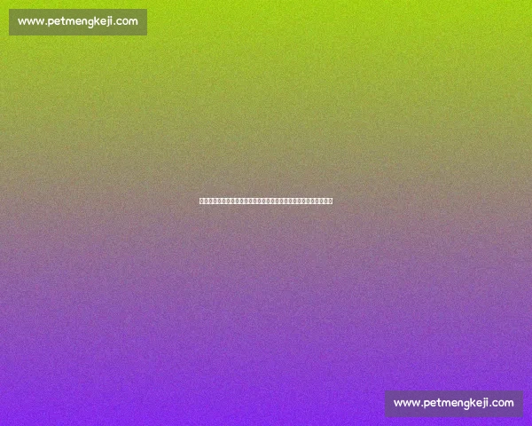 托尼弗格森对决嘴炮康纳谁能改写轻量级格局之战巅峰生死对决传奇 托尼弗格森对决嘴炮康纳谁能改写轻量级格局之战巅峰生死对决传奇