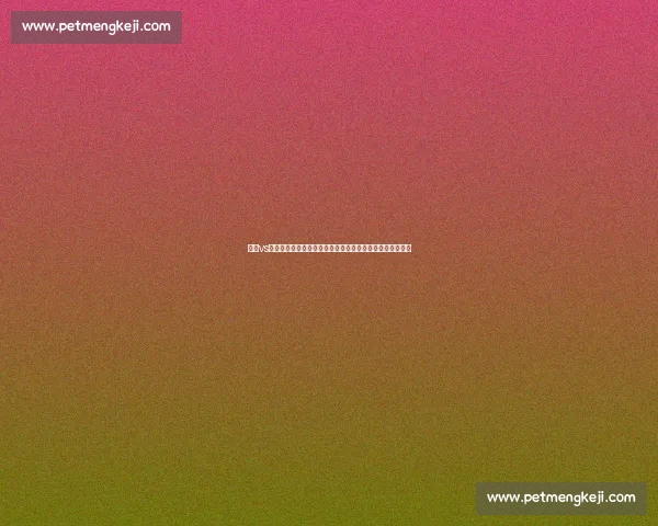 嘴炮vs梅威瑟世纪对决背后出场费差距与商业博弈全解析真相揭秘 嘴炮vs梅威瑟世纪对决背后出场费差距与商业博弈全解析真相揭秘