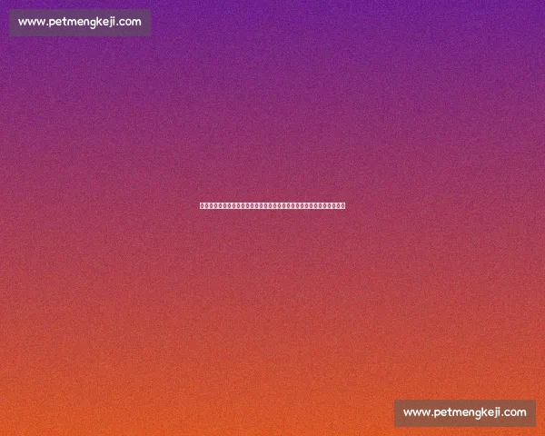 曼城对阵热刺强强对话英超争冠走势引发关注焦点之战战术博弈悬念升级