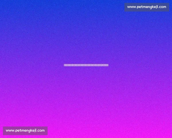 梦十强强对话尼日利亚巅峰较量揭示篮球新格局前景世界赛场风云再起 梦十强强对话尼日利亚巅峰较量揭示篮球新格局前景世界赛场风云再起