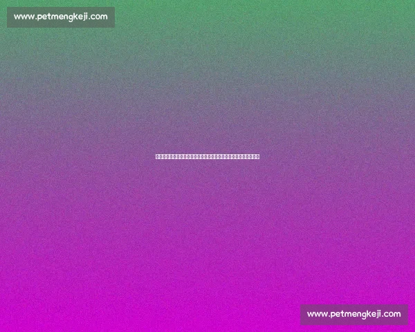 湖人对阵掘金国语回放焦点解析全场精彩瞬间深度复盘战术博弈看点