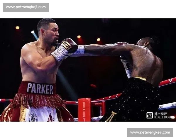 约书亚维尔德巅峰对决全球瞩目重塑重量级拳坛格局的终极之战