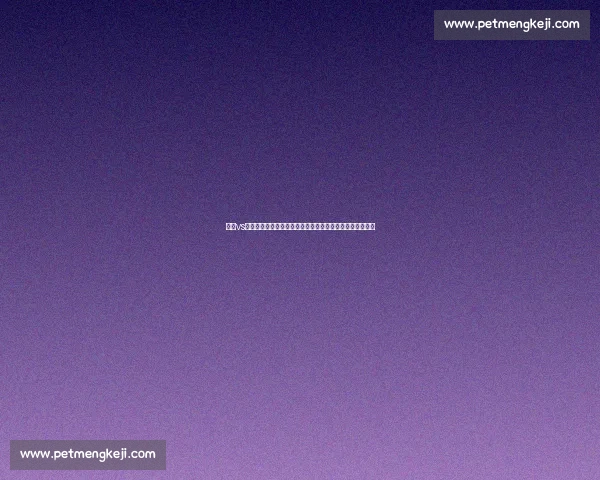 火箭vs太阳直播焦点之战明星对决引爆西部赛场攻防博弈胜负悬念