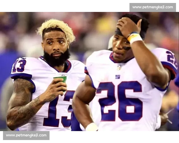 汉密尔顿迎战邓迪FC苏超对决走势与关键看点解析前瞻赛季表现评