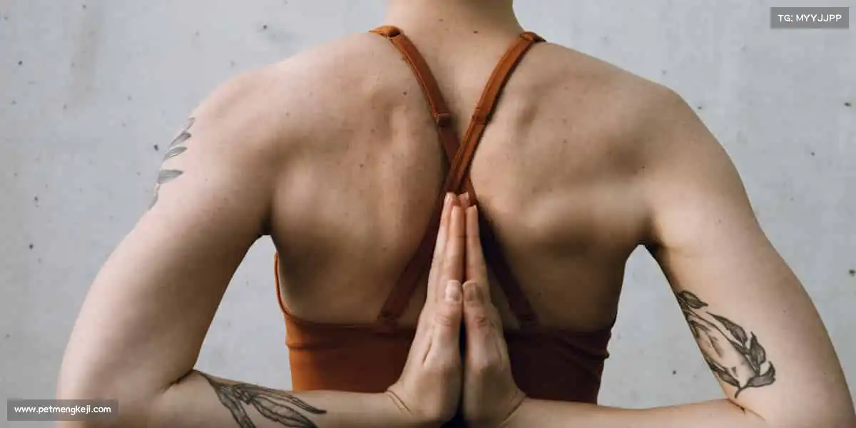 米兰官网🏃‍♀️无论快慢，坚持就是胜利 —— 你的运动故事，由你书写！